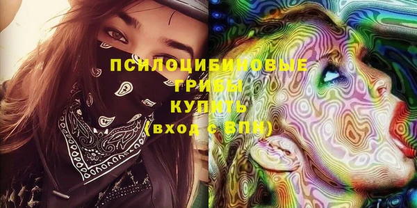 a pvp Абаза