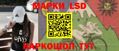 шишки Краснознаменск
