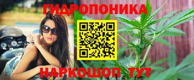шишки Краснознаменск