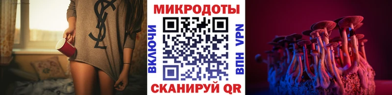 kraken ссылки Карталы Галлюциногенные грибы Psilocybine cubensis