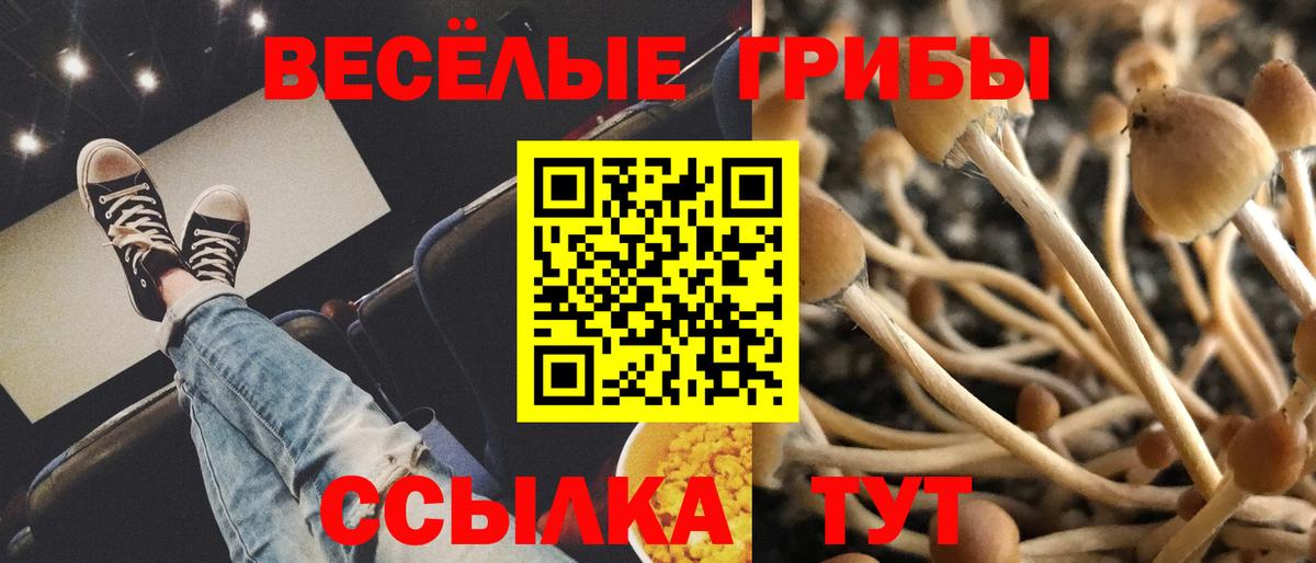 Карталы  что такое   Вход с VPN  Галлюциногенные грибы GOLDEN TEACHER 